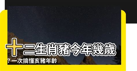 豬 年|屬豬今年幾歲？2024屬豬生肖年齡對照表！屬豬性格特質